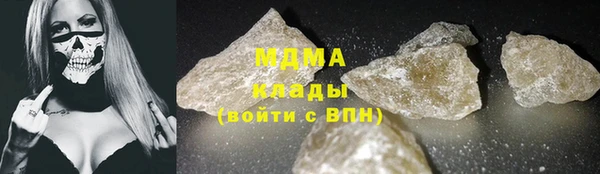 прущие грибы Аркадак