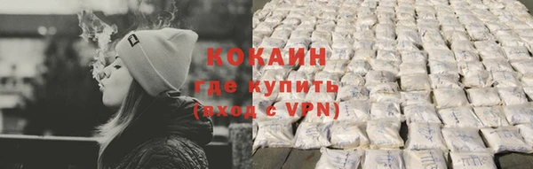 прущие грибы Аркадак