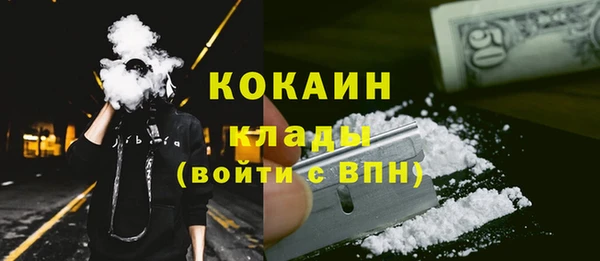 прущие грибы Аркадак