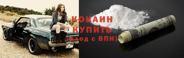 прущие грибы Аркадак