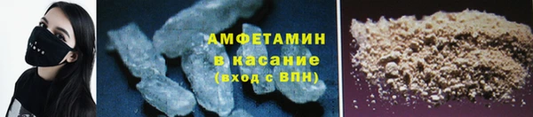 прущие грибы Аркадак