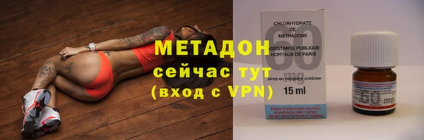 прущие грибы Аркадак