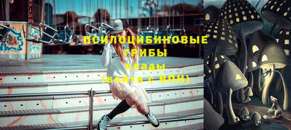 прущие грибы Аркадак