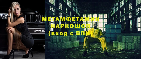 прущие грибы Аркадак