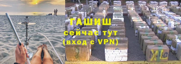 прущие грибы Аркадак