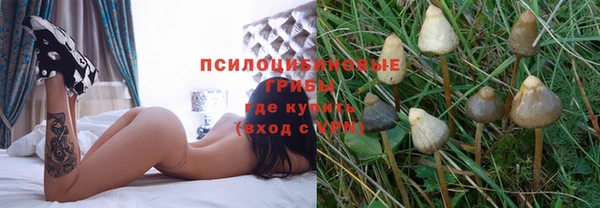 mix Арсеньев