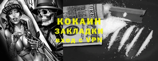 прущие грибы Аркадак