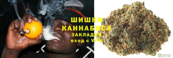 прущие грибы Аркадак